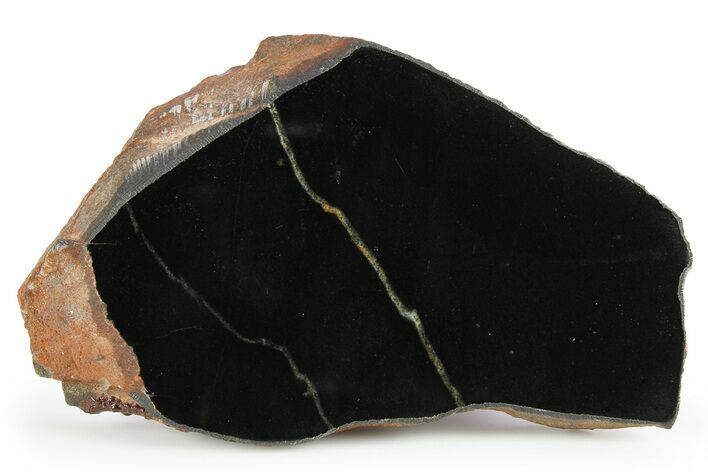 Polished Black Jade (Actinolite) Section - Western Australia #256997